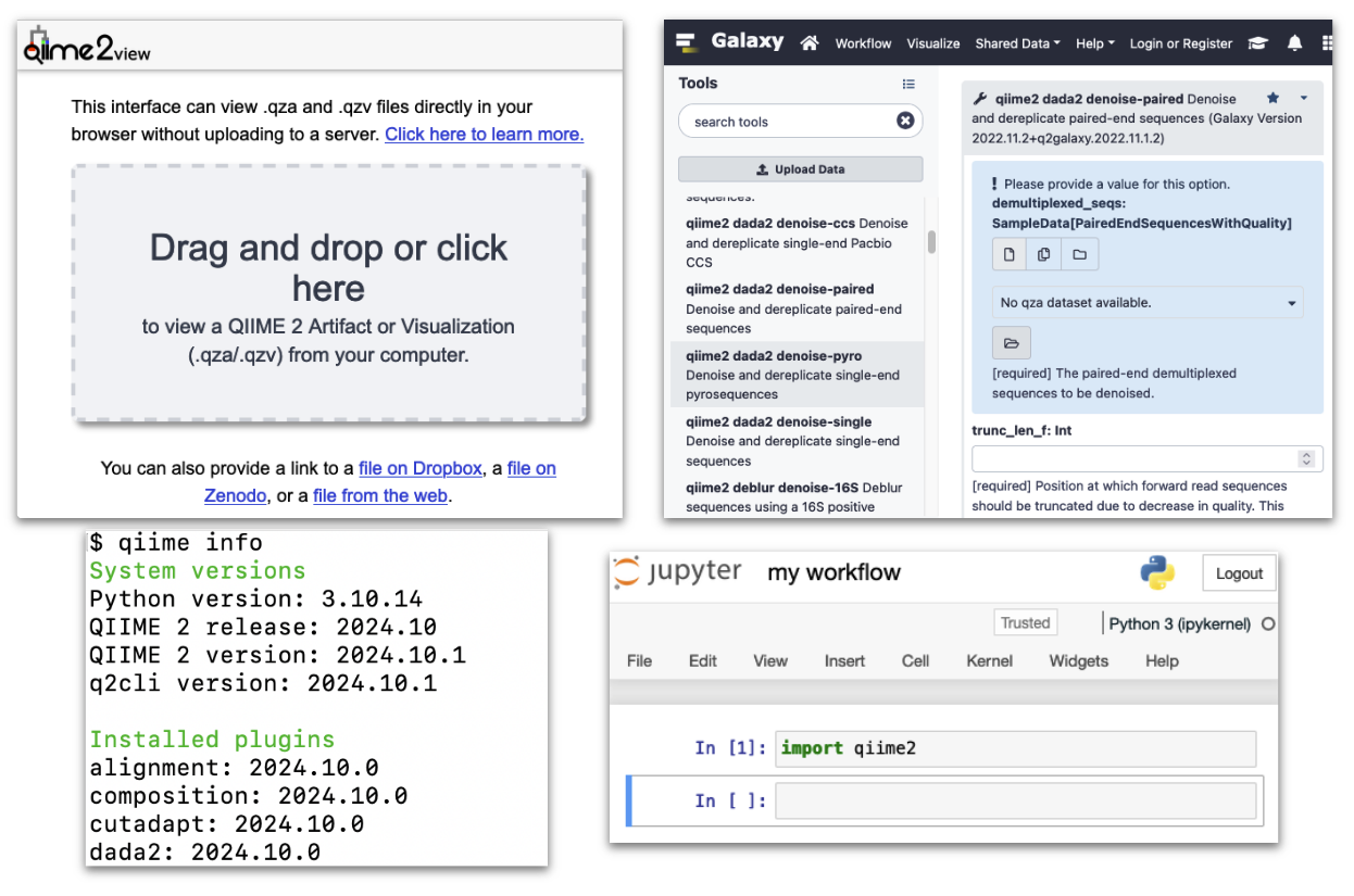 Screenshots of different types of interfaces that can be used to interact with QIIME 2.
