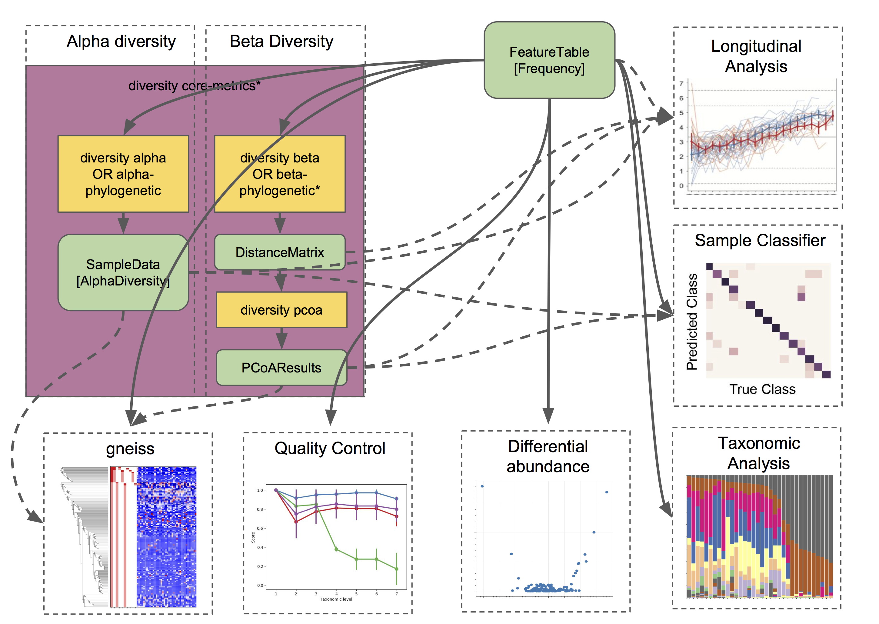 Flowchart of "downstream" analysis workflows in QIIME 2.